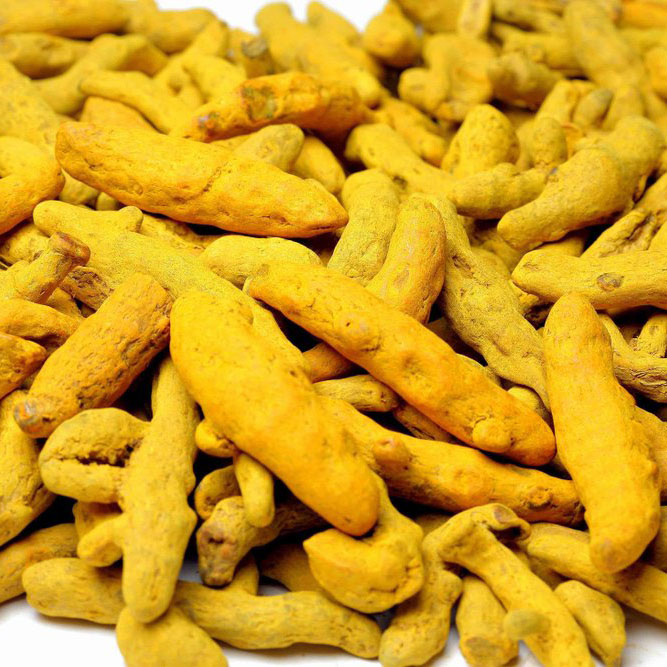 Turmeric: A Journey from Indian Farms to Global Kitchens