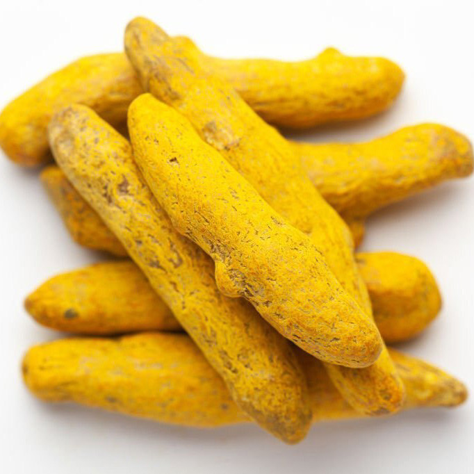 Natural Dry Turmeric Finger Manufacturers in Bhubaneswar