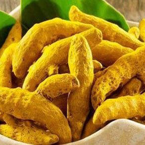 Pure Turmeric Finger Manufacturers in Bhubaneswar